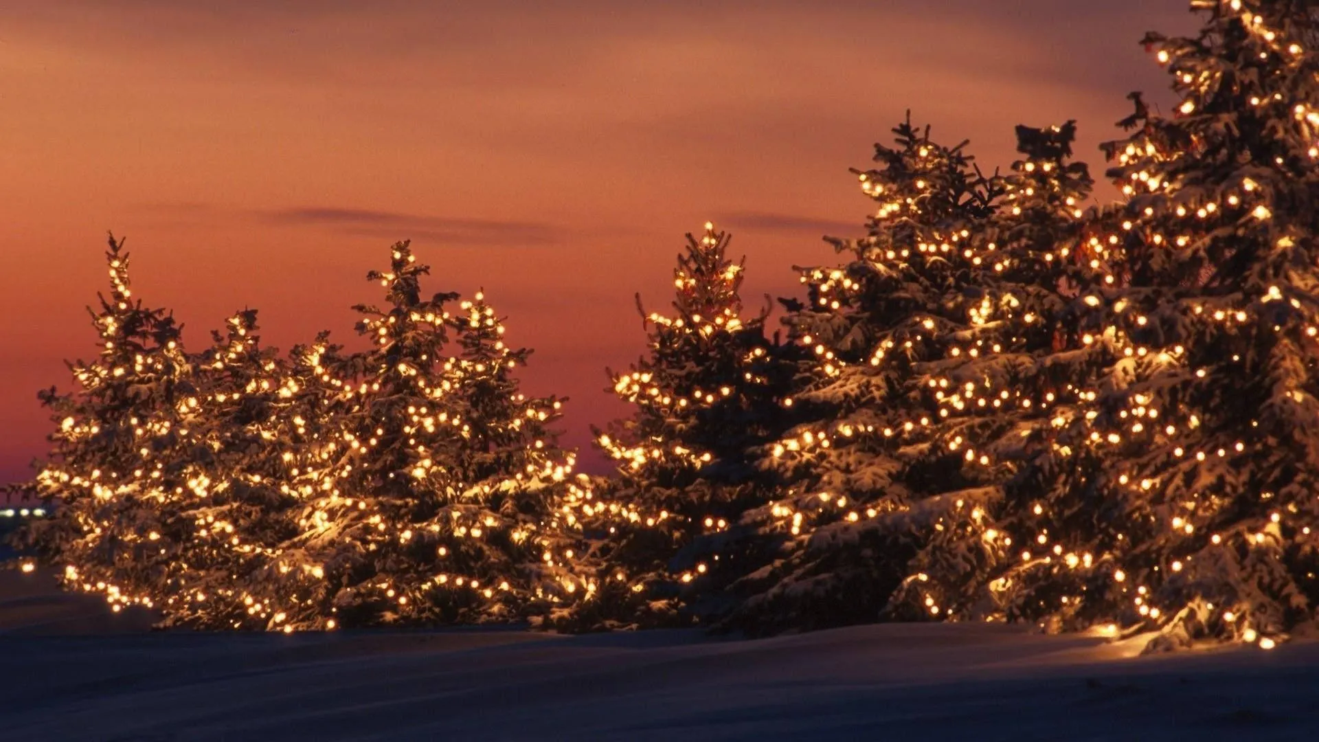 Seasonal Holiday Lighting